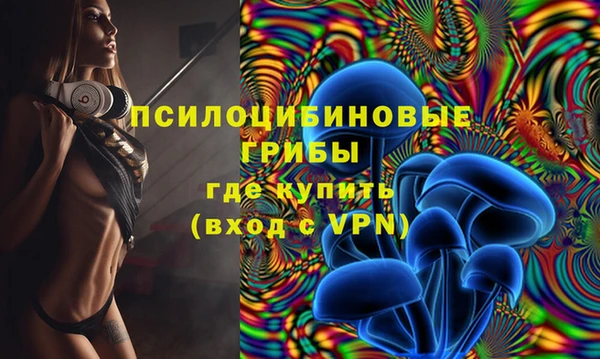 амф Алексеевка