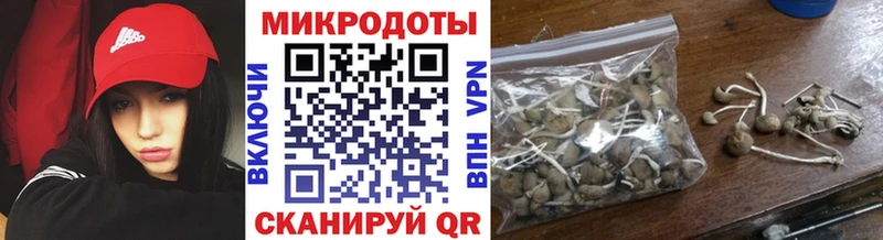 Псилоцибиновые грибы мухоморы Юрьев-Польский