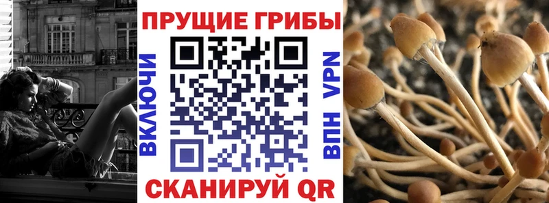 Галлюциногенные грибы мицелий Юрьев-Польский